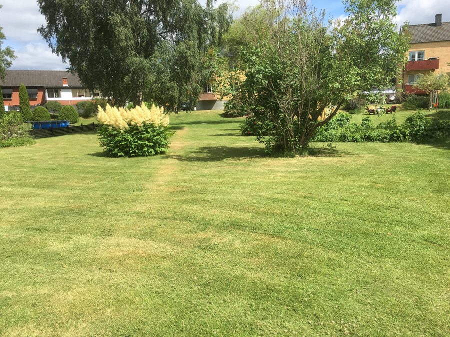 Innergård